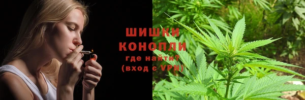 прущие грибы Беломорск