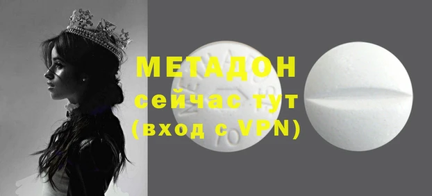прущие грибы Беломорск
