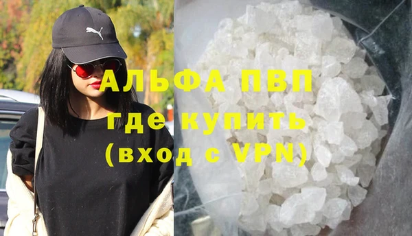 прущие грибы Беломорск