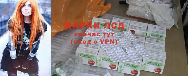 прущие грибы Беломорск