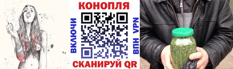 OMG маркетплейс  Выборг  Канабис семена  наркота 